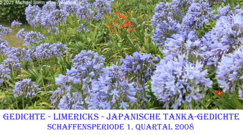Gedicht Limerick Schaffensperiode 2008 01 Quartal