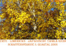 Gedicht Limerick Schaffensperiode 2008 03 Quartal