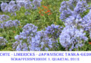 Gedicht Limerick Schaffensperiode 2012 01 Quartal